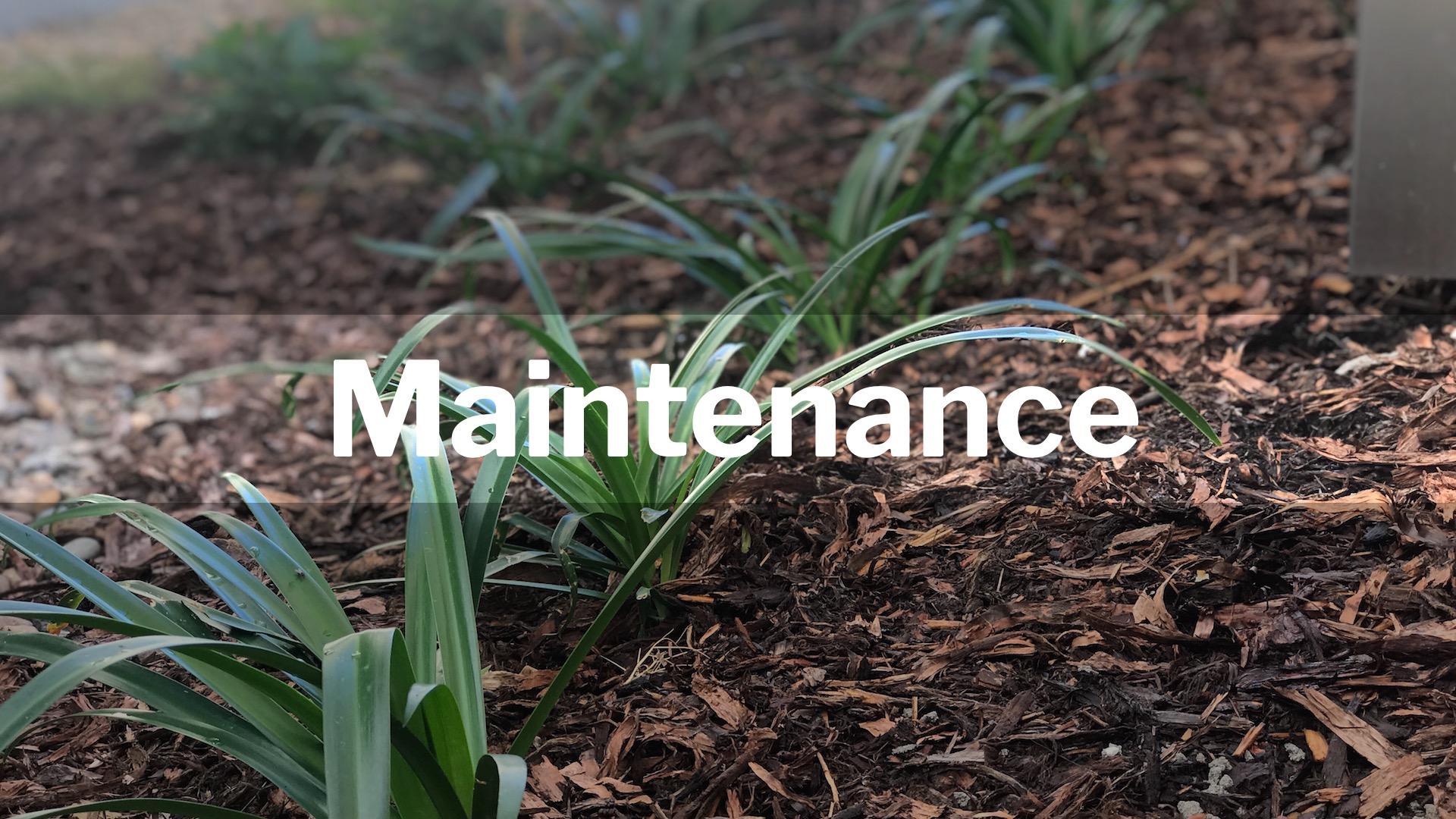 Maintenance